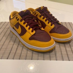 Bike Arizona State Dunks